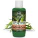 Buy Eucalyptus Essential Oil Bath Foam - 34 Fl Oz | Relaxing Aromatherapy for Good Sleep & Spa Experience - Buy Online on SooperMarket.com