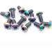 12pcs M5 * 10mm Titanium Rotor Bolt Kit for MTB Disc Brake Rotor - Rainbow Color - Buy Online on SooperMarket.com