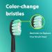 LINILEEA Toothbrush Replacement Heads Black Compatible with Philips Sonicare Click On Electric Toothbrush 8Pack Balck 1 count (Pack of 8) - Buy Online on SooperMarket.com