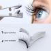2 Pairs Magnetic Eyelashes Magnetic Lashes Magnetic Eyelashes Natural Look with Applicator Reusable Fake Lashes No Glue Fluffy False Eyelashes - Buy Online on SooperMarket.com