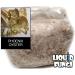 Phoenix Oyster Mushroom Grain Spawn - 1 lb | Ready-to-Use - Buy Online on SooperMarket.com