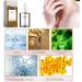 Centella Asiatica Face Serum Centella Serum for Face Recovery Face Serum for Acne Pore Skin Sensitive Oily Dry Skin Soothing Hydrating Serum for Women 30ml - Buy Online on SooperMarket.com