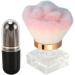 Powder Blush Brushes Set Makeup Brush Set Multipurpose with Storage Bag for Salon - Buy Online on SooperMarket.com