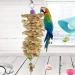 Anteer 12 Pack Bird Parrot Swing Chewing Toys - Hanging Bell Cage Toys for Small Parakeets, Cockatiel, Conures, Finches, Budgie, Macaws, Parrots, Love Birds - Buy Online on SooperMarket.com