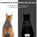 Buy Supet Cat Dishes & Line Set for Fleeing Kittens | Premium Cat Crockery - International Shipping Available - Buy Online on SooperMarket.com