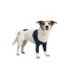 MPS Medical Pet Shirt - TAZ2 Double Front Leg Sleeve for Dog X-Small