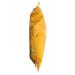 Iwon Organics Cheddar Cheese Protein Puffs - 5oz Organic Snack - Buy Online on SooperMarket.com