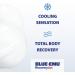 Blue-Emu Recovery Bath Pods for Sore Muscles & Joints - Magnesium, Peppermint Oil & Emu Oil - 2 Pack - Buy Online on SooperMarket.com