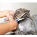 Petsvv 7 Curved Dog Grooming Scissors | Safety Round Tips | Lightweight Professional Shears for Dogs & Cats | Stainless Steel | Blue - Buy Online on SooperMarket.com
