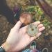 Vintage Pocket Watch Compass | Antique Brass Hinged Lid | Portable Outdoor Navigation for Backpacking Camping & Hiking - Buy Online on SooperMarket.com