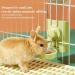Rabbit Water Bottle 600ml/21oz Guinea Pig Water Bottle Non Drip Rabbit Water Feeder Free Standing Small Animal Water Bottle for Dog Cat Guinea Pig Rabbit Hamster and the Other Small Animals(Blue) - Buy Online on SooperMarket.com