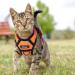 Breakproof Cat Leash Set & Adjustable Soft Kitten Vest - Reflective Stripes | Orange Small Dishes for Kittens - Buy Online on SooperMarket.com