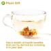 Buy Radix Codonopsis 150g - Premium Dried Dang Shen Root Herbal Tea for Vitality | International Shipping - Buy Online on SooperMarket.com