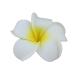 DreamLily Women's Fashion 3 Pcs Hawaiian White Plumeria Flower Foam Hair Clip Set for Beach - White - Buy Online on SooperMarket.com