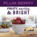 MRS. MEYER'S CLEAN DAY Plum Berry Hand Soap Refill - 33 Fl Oz (Pack of 2) - Buy Online on SooperMarket.com