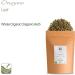 Organic Oregano Spice - Dried Greek Wild Marjoram Seasoning 100g | Premium Gourmet Herb - Buy Online on SooperMarket.com