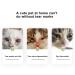 Professional Tear Stain Remover Powder & Applicator Brush for Dogs & Cats | Eye Care Comb for Pet Tear Stains - Buy Online on SooperMarket.com