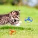 Colorful Flying Propeller Cat Toy Set with Launcher - Interactive Exercising and Training Discs for Hunting and Batting - Buy Online on SooperMarket.com