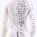 Model Anatomy Professional Medical Acupuncture 48Cm 19" - Buy Online on SooperMarket.com