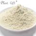 100% Pure Garlic Powder - Natural Healthy Spice for Smoothies, Cookies & Beverages - Non-GMO, No Fillers/Additives - 100g/3.25oz - Buy Online on SooperMarket.com