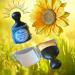 SunScreen Facial Cream Application Brush | Full Coverage Soft Brush with Protective Case - Buy Online on SooperMarket.com