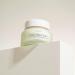 Cactus Oasis Cream | Organic Vegan Moisturizer | Natural Skin Barrier with Tamanu Oil & Ceramide | Hydrating Skincare for Women & Men | 1.69 Oz - Buy Online on SooperMarket.com