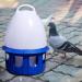 LOVIVER Portable Pigeon Waterer Drinker Cage Accessories Water Pot Container Water Bottle Automatic Bird Water Dispenser for Parrot Parakeet Dove 8L D 22cm H 38CM - Buy Online on SooperMarket.com