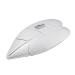 AOOOWER UV LED Nail Lamp Gel Curing Lamp Nail Art Accessories Resin Curing Lamp Nail Dryer for DIY Crafts Nail Art Uv Led Nail Lamp for Gel Nail/Acrylic and Gel Uv Led Nail Lamp Gel Nail Light Silver
