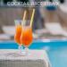 Jesnoe Gold Foil Straws Biodegradable Disposable Drinking Straws Pack of 100 Celebrations - Buy Online on SooperMarket.com