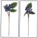 ABOOFAN 15 Pcs Artificial Berry Cuttings Christmas Faux Apples Fake Berries Green Garland Artificial Pine Picks Decor Xmas Tree Picks Blue Flowers Cherry Bean Sticks Iron Dark Bluex3pcs 18X7.5X3CMx3pcs - Buy Online on SooperMarket.com