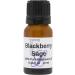 BlackBerry Sage Fragrance Oil by Eclectic Lady 10 ml Premium Long Lasting Diffuser Oils Aromatherapy