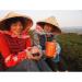 Taiwan unique tea Oriental Beauty tea 75g*4 - Buy Online on SooperMarket.com