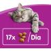 Whiskas Dentabites Cat Snack - Chicken Flavor (Pack of 8 x 40g) - International Shipping Available - Buy Online on SooperMarket.com