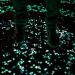 Pebbles 50/100/300pcs Glow in the Dark Garden Pebbles for Walkways Garden Decoration Glow Pebbles Plants Aquarium Luminous Stones Decorative Pebbles (Color : Blue Size : 50 PCS) 50 PCS Blue - Buy Online on SooperMarket.com