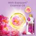 LUX Charming Peony Shower 600 - Luxurious International Shipping | Buy Now - Buy Online on SooperMarket.com