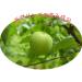 Grannicks Bitter Apple Spray 8 oz - Buy Online on SooperMarket.com