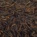 Wholefood Earth Organic Wild Rice 3kg - GMO Free, EcoSocial, Vegan - Raw, Fiber & Protein Rich - Buy Online on SooperMarket.com