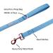 Lionet Paws Dog Leash - Stylish Silk Leash for Small Medium & Large Dogs | Matching Collars Available | Blue XS Leash (Pack of 1) - Buy Online on SooperMarket.com