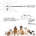 Buy Philorn 5m Reflective Retractable Dog Leash - Flexible Non-Slip Handle One-Button Lock for Medium to Large Dogs up to 50kg - International Shipping Available - Buy Online on SooperMarket.com