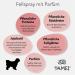 TAMEI BIO Fellspray for Dogs - Organic Combing Aid & Care - Vegan Fur Smooth & Vitalizing - 100ml - Buy Online on SooperMarket.com