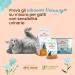 Almo Nature Multipack Holistic Urinary Help - 6 Pack Wet Cat Food (3 Fish 3 Chicken) - Optimal Nutrition for Adult Cats - Buy Online on SooperMarket.com