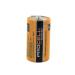 C12 PROCELL Professional Alkaline Battery 12 Count