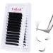 Fadlash Easy Fan Lashes D Curl 0.10 8-14mm Mixed Length Russian Lashes Natural Look Self Fanning Eye Lashes Automatic Blooming Russian Eyelashes Extensions(0.10-D-814) 8-14 mm 0.10-D