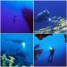 Eecoo Diving Flashlight | 18000 Lumen IPX8 Waterproof Torch for Scuba Dive | 500M Range, 7 Modes | Underwater LED Flashlight for Outdoor Water Sports - Buy Online on SooperMarket.com