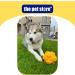 Emperor Blue Gorilla Tuff Floating Football Dog Toy for Interactive Games and Exercise - Buy Online on SooperMarket.com