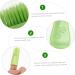 ORFOFE 1 Set Pet Toothbrush Kitten Toothbrushes Dog Toothbrush for Small Dogs Dog Toothpaste Pets Pp Green - Buy Online on SooperMarket.com