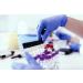 Buy THC Test & Test Strips - 25ng/mL Cannabinoid Detection - Fast International Shipping - Buy Online on SooperMarket.com