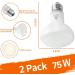 Repti Home 75W Reptile Heating Lamp - 2 Pack | Ideal for Turtles Lizards Snakes & Amphibians - Perfect Terrarium Heat Source - Buy Online on SooperMarket.com