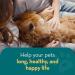 The Healthy Dog Co Spot On Flea and Tick Treatment for Dogs 100ml - Buy Online on SooperMarket.com