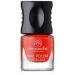 alessandro red Stars Poppy 1 pack (1 x 5 ml)